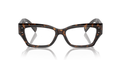 0DG3387 - Dolce & Gabbana - Tortoise - (Havana 502) - 51 - 16 - 145 MM - Ardor Eyewear 8056262062449