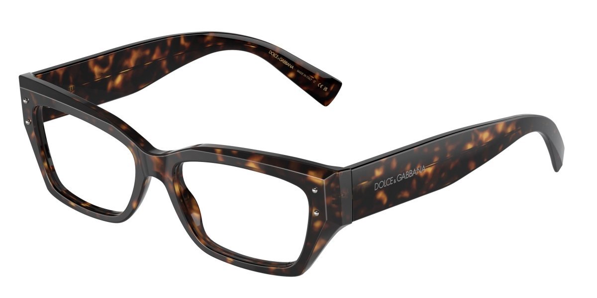 0DG3387 - Dolce & Gabbana - Tortoise - (Havana 502) - 51 - 16 - 145 MM - Ardor Eyewear 8056262062449