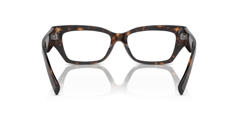 0DG3387 - Dolce & Gabbana - Tortoise - (Havana 502) - 51 - 16 - 145 MM - Ardor Eyewear 8056262062449