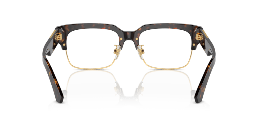 0DG3388 - Dolce & Gabbana - Tortoise - (Havana 502) - 53 - 18 - 145 MM - Ardor Eyewear 8056262051764