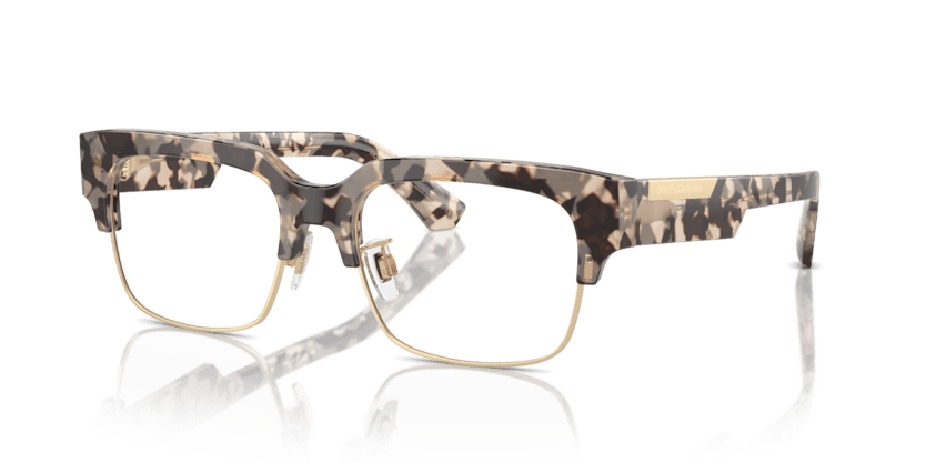 0DG3388 - Dolce & Gabbana - Tortoise - (Havana Beige 3434) - 53 - 18 - 145 MM - Ardor Eyewear 8056262051788