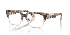 0DG3388 - Dolce & Gabbana - Tortoise - (Havana Beige 3434) - 53 - 18 - 145 MM - Ardor Eyewear 8056262051788