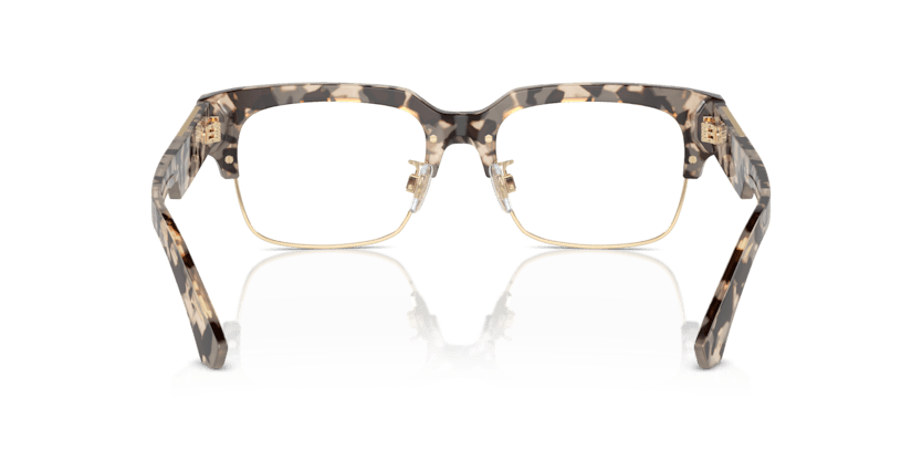 0DG3388 - Dolce & Gabbana - Tortoise - (Havana Beige 3434) - 53 - 18 - 145 MM - Ardor Eyewear 8056262051788