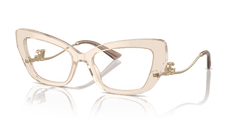 0DG3391B - Dolce & Gabbana - Brown - (Transparent Camel 3432) - 56 - 19 - 145 MM - Ardor Eyewear 8056262056219