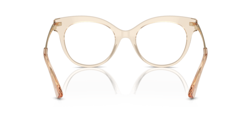 Transparent Camel - 0DG3392 8056262084823