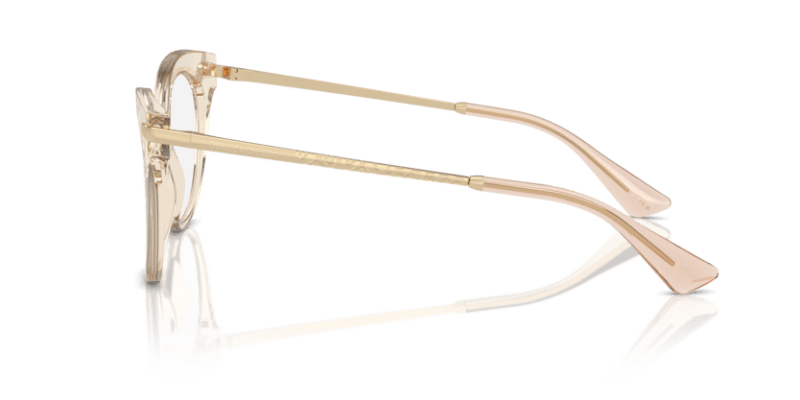 Transparent Camel - 0DG3392 8056262084823