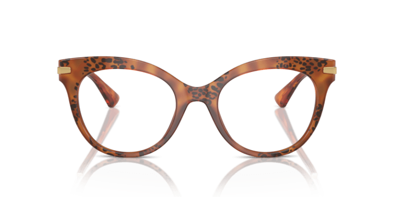 Havana Leo - 0DG3392 8056262084809