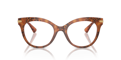 Havana Leo - 0DG3392 8056262084809