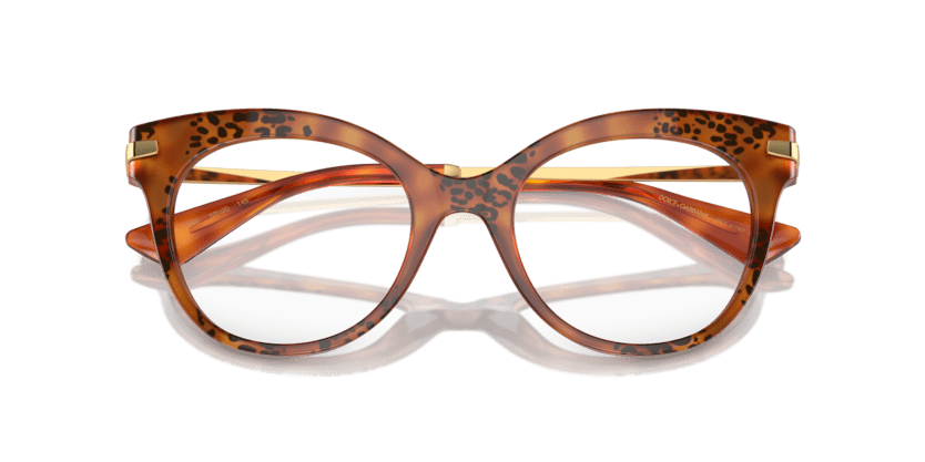 0DG3392 - Dolce & Gabbana - Tortoise - (Havana Leo 3380) - 50 - 20 - 145 MM - Ardor Eyewear 8056262084809