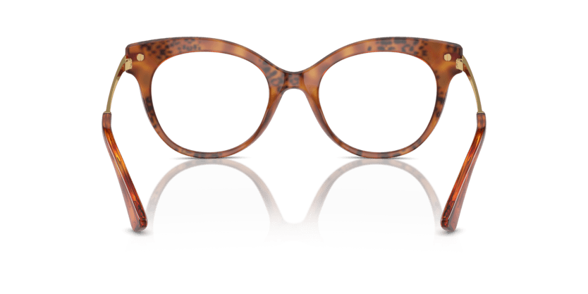 0DG3392 - Dolce & Gabbana - Tortoise - (Havana Leo 3380) - 50 - 20 - 145 MM - Ardor Eyewear 8056262084809