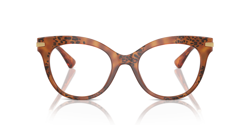 0DG3392 - Dolce & Gabbana - Tortoise - (Havana Leo 3380) - 50 - 20 - 145 MM - Ardor Eyewear 8056262084809