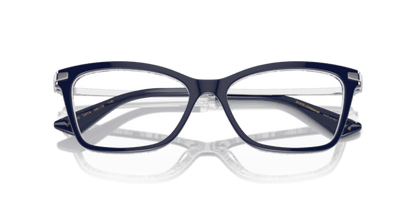 Blue On Blue Maiolica - 0DG3393 8056262057308