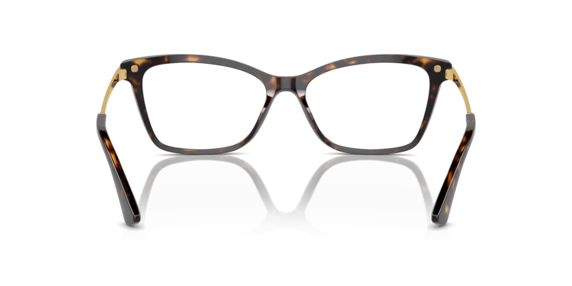 0DG3393 - Dolce & Gabbana - Tortoise - (Havana 502) - 54 - 16 - 145 MM - Ardor Eyewear 8056262057247