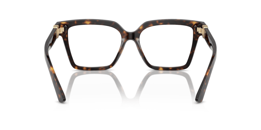 0DG3395 - Dolce & Gabbana - Tortoise - (Havana 502) - 51 - 16 - 145 MM - Ardor Eyewear 8056262056776