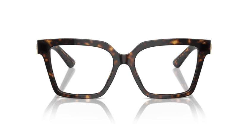 0DG3395 - Dolce & Gabbana - Tortoise - (Havana 502) - 51 - 16 - 145 MM - Ardor Eyewear 8056262056776