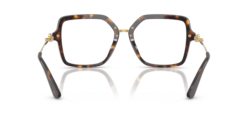 0DG3396 - Dolce & Gabbana - Tortoise - (Havana 502) - 53 - 18 - 140 MM - Ardor Eyewear 8056262256312