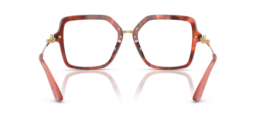 0DG3396 - Dolce & Gabbana - Tortoise - (Havana Brown 3444) - 53 - 18 - 140 MM - Ardor Eyewear 8056262256251