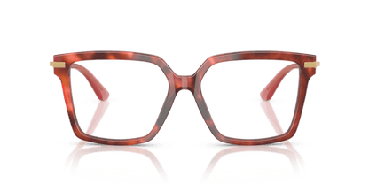 Havana Brown - 0DG3397 8056262256763