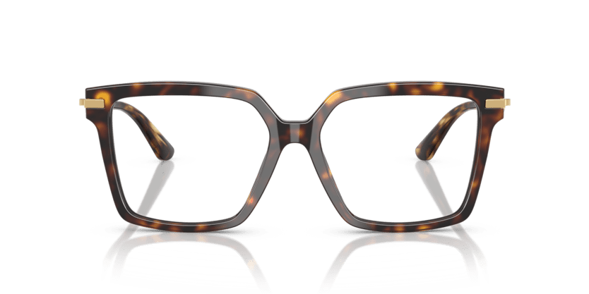 0DG3397 - Dolce & Gabbana - Tortoise - (Havana 502) - 54 - 16 - 140 MM - Ardor Eyewear 8056262256800