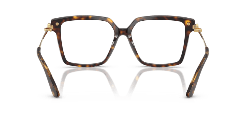 0DG3397 - Dolce & Gabbana - Tortoise - (Havana 502) - 54 - 16 - 140 MM - Ardor Eyewear 8056262256800