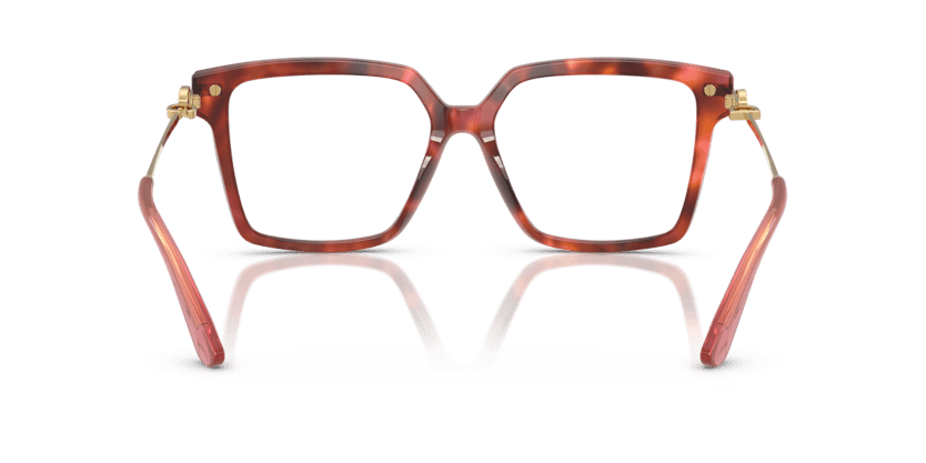 0DG3397 - Dolce & Gabbana - Tortoise - (Havana Brown 3444) - 54 - 16 - 140 MM - Ardor Eyewear 8056262256763