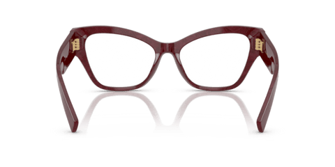 Bordeaux Lace - 0DG3404 8056262242933