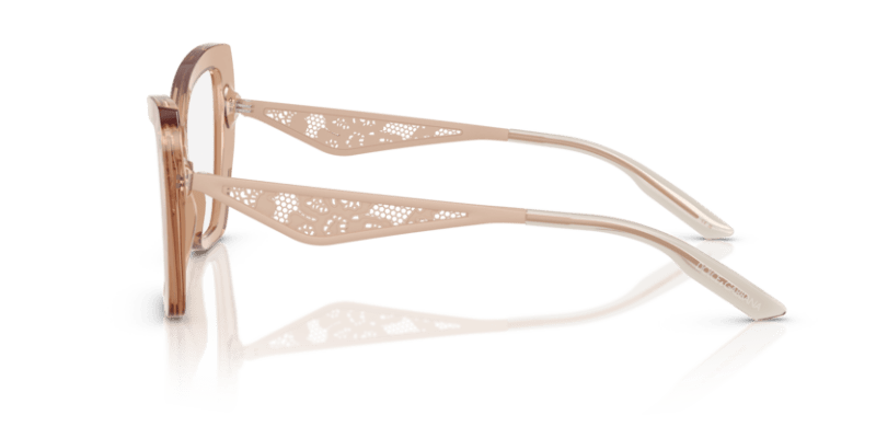 Transparent Camel - 0DG3409 8056262293942