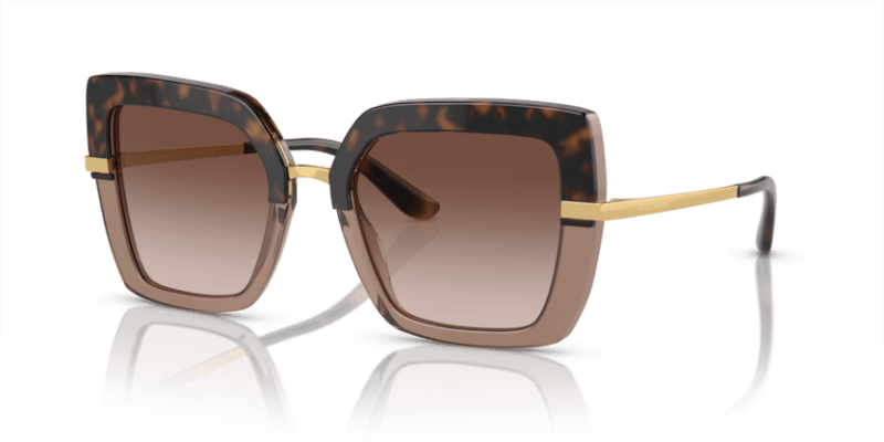 Havana On Transparent Brown - 0DG4373 8056597185301