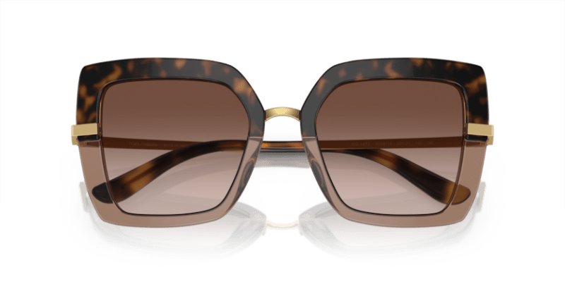 Havana On Transparent Brown - 0DG4373 8056597185301