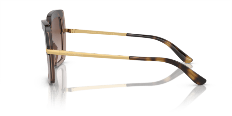 Havana On Transparent Brown - 0DG4373 8056597185301