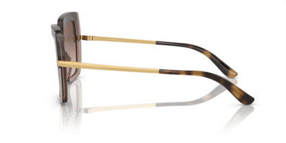 Havana On Transparent Brown - 0DG4373 8056597185301