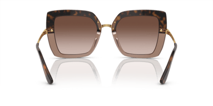 Havana On Transparent Brown - 0DG4373 8056597185301