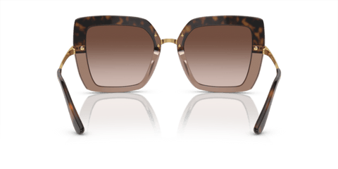 Havana On Transparent Brown - 0DG4373 8056597185301