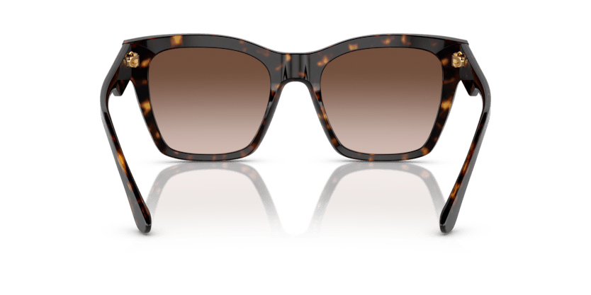 0DG4384 - Dolce & Gabbana - (Havana) Gradient Brown - 53 - 20 - 145 MM - Ardor Eyewear 8056597371896