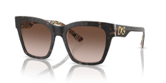 0DG4384 - Dolce & Gabbana - (Havana On White Barrow) Brown Gradient - 53 - 20 - 145 MM - Ardor Eyewear 8056597951777