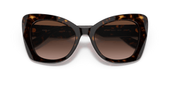 0DG4405 - Dolce & Gabbana - (Havana) Gradient Brown - 53 - 20 - 140 MM - Ardor Eyewear 8056597646673