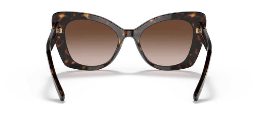 0DG4405 - Dolce & Gabbana - (Havana) Gradient Brown - 53 - 20 - 140 MM - Ardor Eyewear 8056597646673