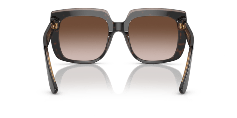 Havana On Transparent Brown - 0DG4414 8056597715294