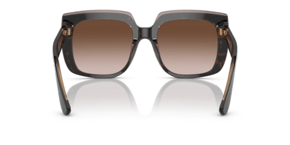 Havana On Transparent Brown - 0DG4414 8056597715294