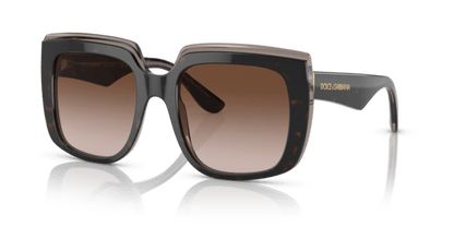 Havana On Transparent Brown - 0DG4414 8056597715294