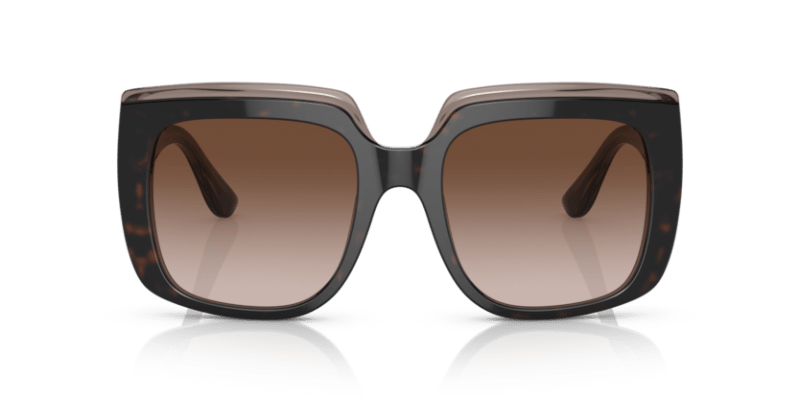 Havana On Transparent Brown - 0DG4414 8056597715294