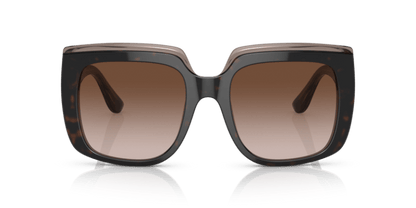 Havana On Transparent Brown - 0DG4414 8056597715294