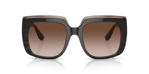 Havana On Transparent Brown - 0DG4414 8056597715294