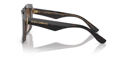 Havana On Transparent Brown - 0DG4414 8056597715294