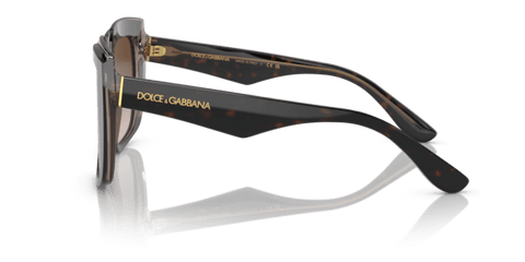 Havana On Transparent Brown - 0DG4414 8056597715294