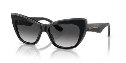Black/Transparent Grey - 0DG4417 8056597757386