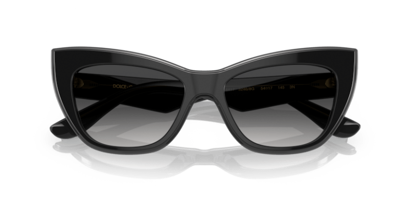 Black/Transparent Grey - 0DG4417 8056597757386