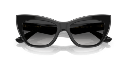 Black/Transparent Grey - 0DG4417 8056597757386