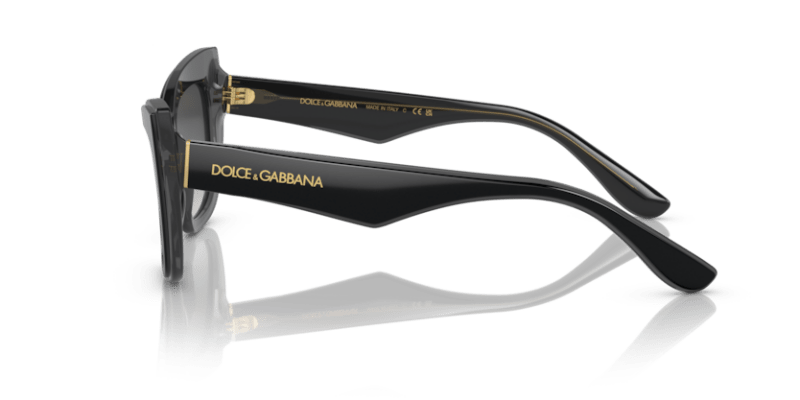 Black/Transparent Grey - 0DG4417 8056597757386