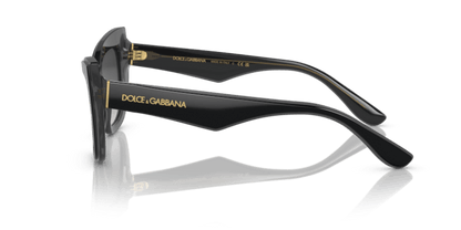 Black/Transparent Grey - 0DG4417 8056597757386